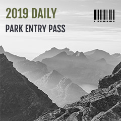 daily pass